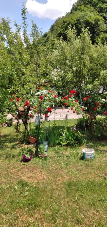 Apartmani Dada Kanjon Grmusa Bihać Екстериор снимка