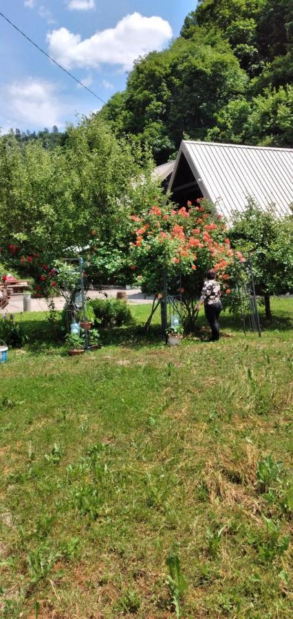 Apartmani Dada Kanjon Grmusa Bihać Екстериор снимка